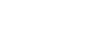 Mertex HubSpot Custom Integration